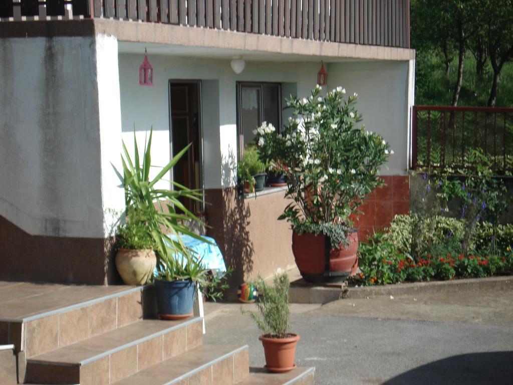 Rooms Marica Селиште-Дрежничко Экстерьер фото